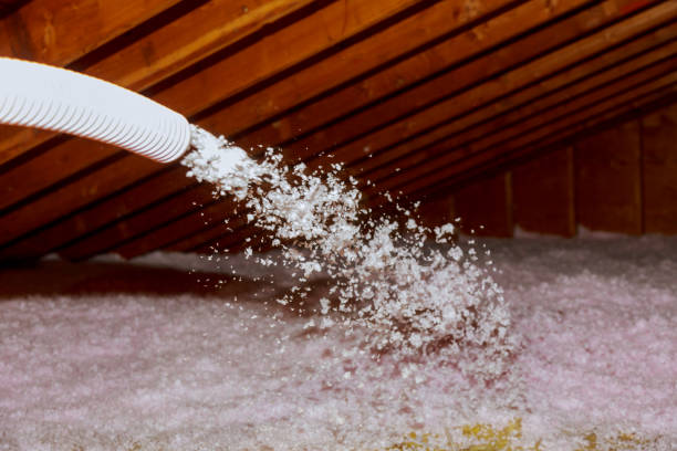 Best Attic Insulation Installation  in Hartsville, SC