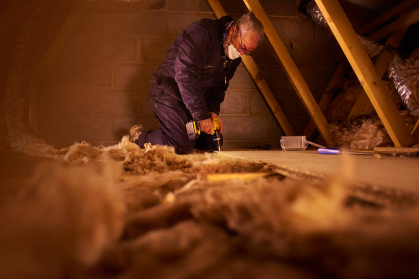 Best Basement Insulation  in Hartsville, SC