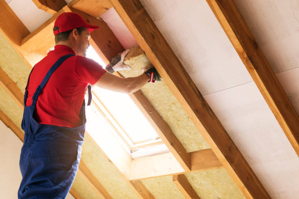 Best Attic Insulation Installation  in Hartsville, SC